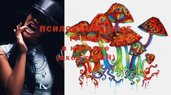 спиды Алексин
